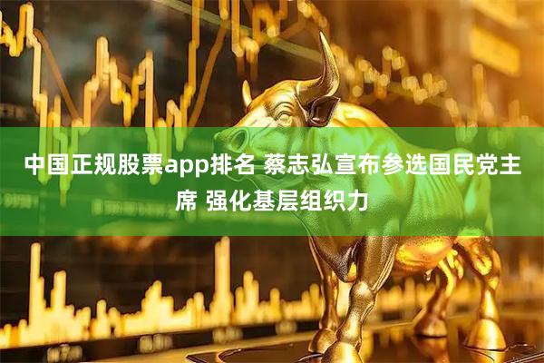 中国正规股票app排名 蔡志弘宣布参选国民党主席 强化基层组织力