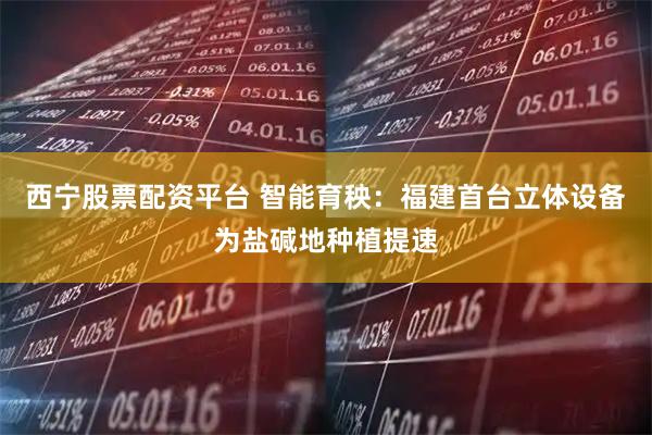 西宁股票配资平台 智能育秧：福建首台立体设备为盐碱地种植提速