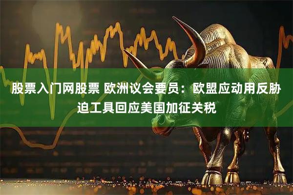股票入门网股票 欧洲议会要员：欧盟应动用反胁迫工具回应美国加征关税