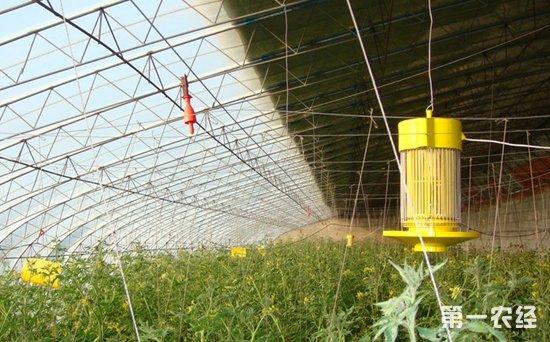天津:推广农业新技术 促进农作物增产
