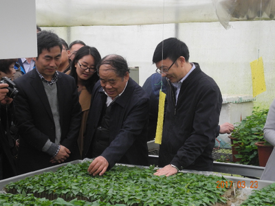 全国甘薯生产培训班在湖北武汉举办