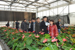 市农业技术推广站成功协办2011年灌溉施肥高峰论坛