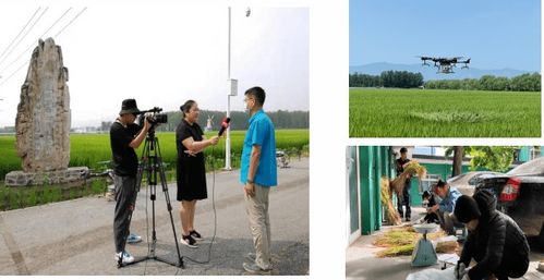 喜讯 区农技中心 原农科所 获 全国星级基层农技推广机构 称号