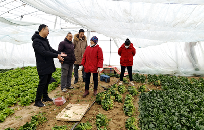 遂平县农业农村局:积极应对雨雪天气 加强农业技术推广服务