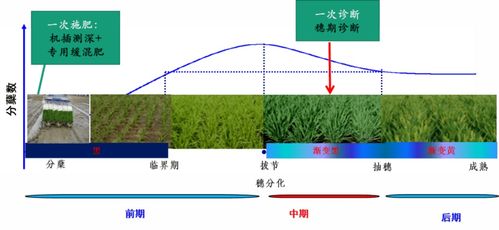 农业农村部2020年10大引领性技术发布,个个都重磅