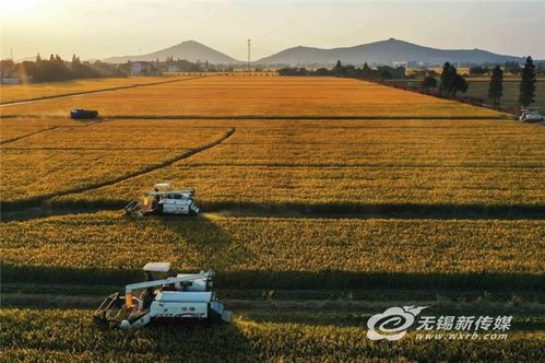 江苏无锡 以 数 赋 农 , 慧 就数字农业新图景